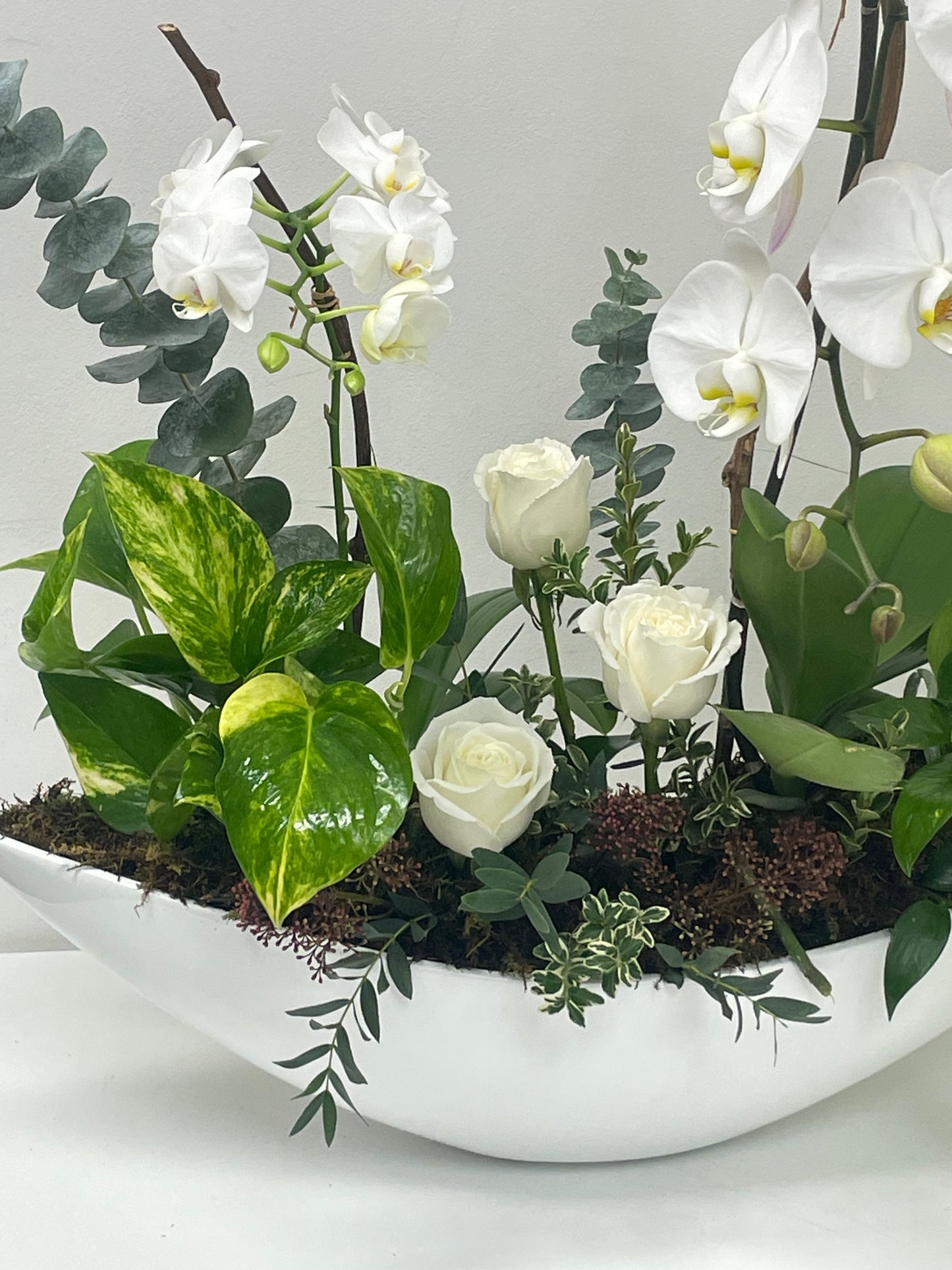 Orchid Boutique