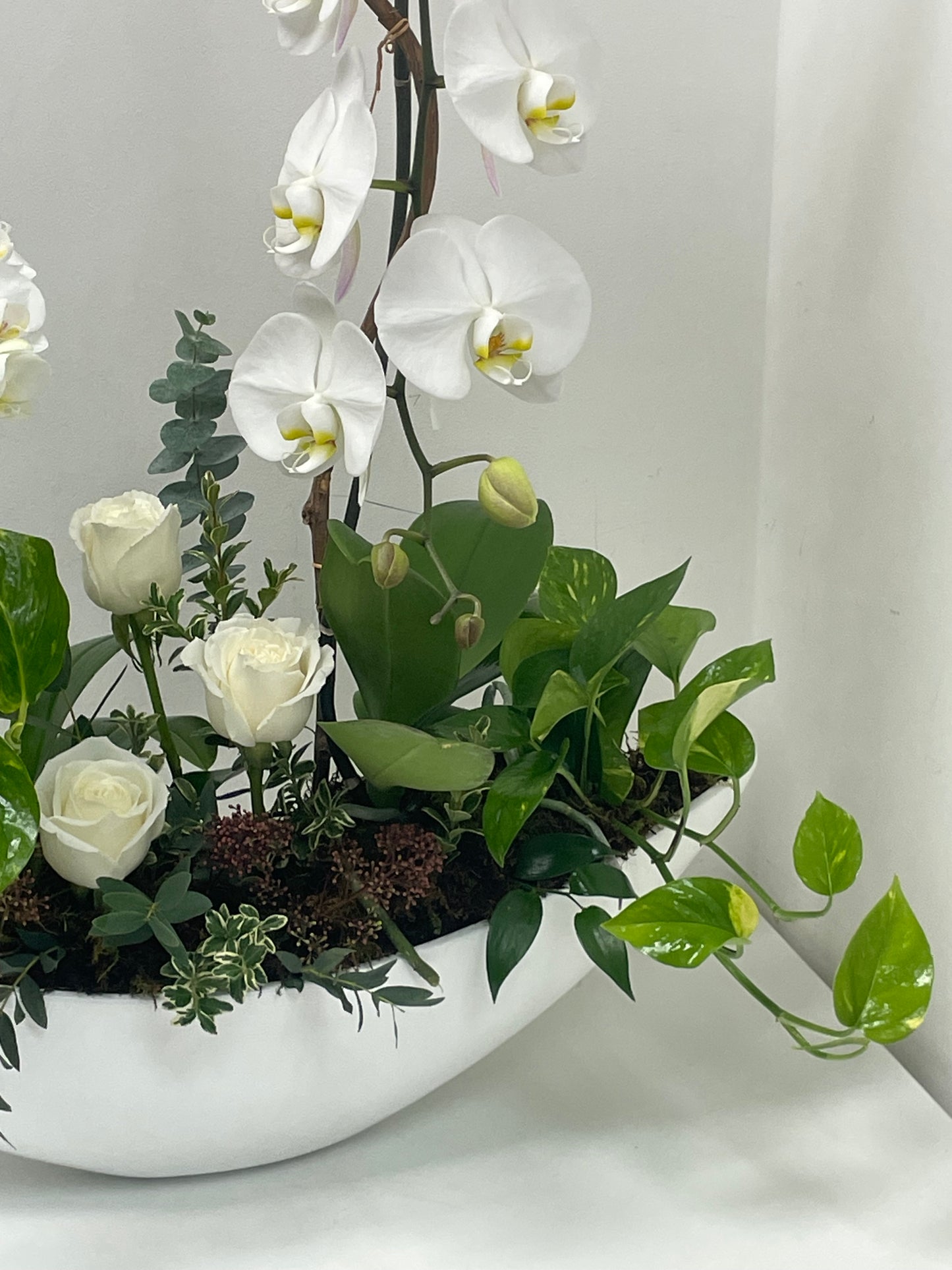 Orchid Boutique