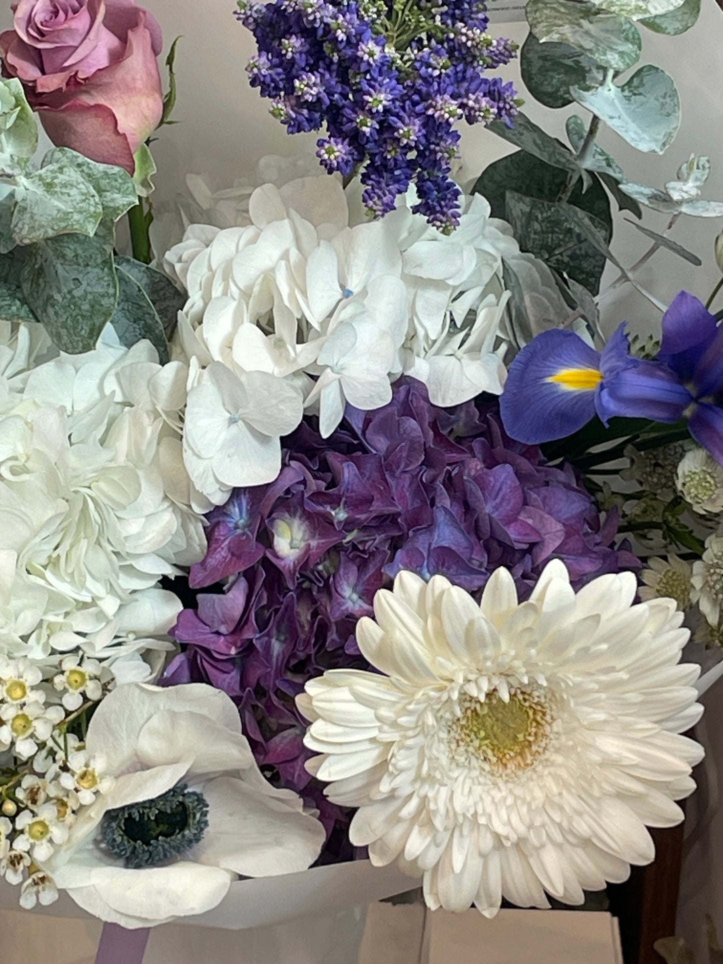 Lavender Luxe