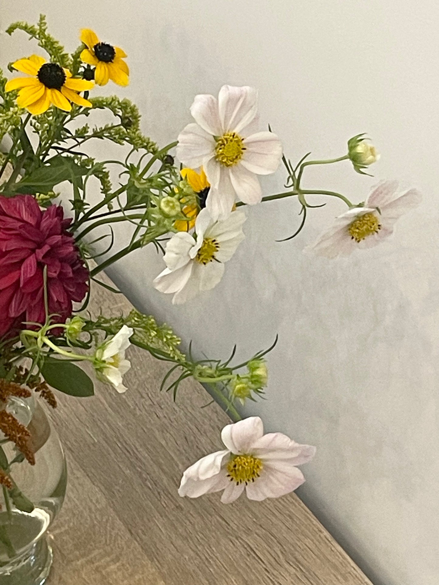 Natural Garden