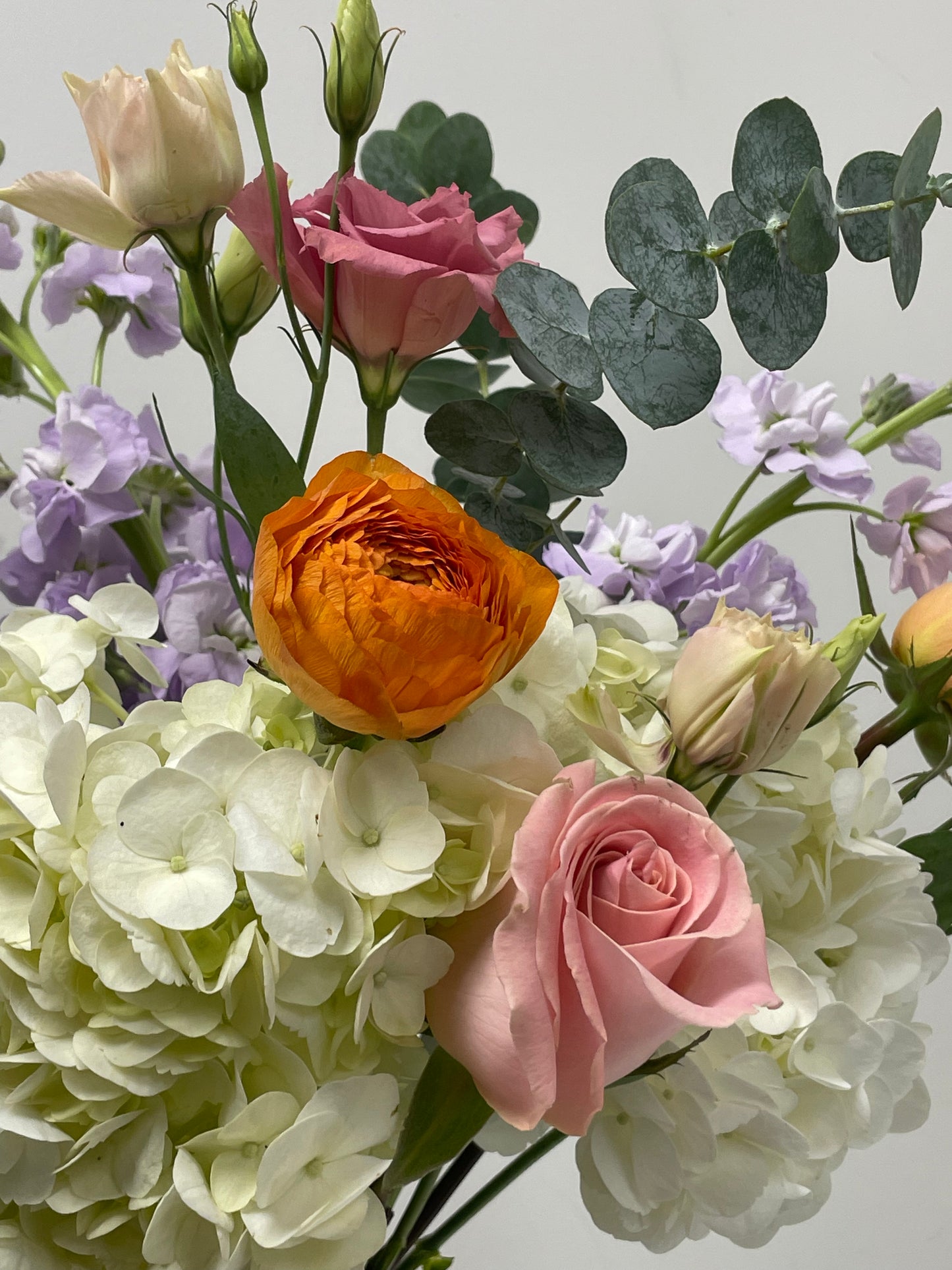 Floral Dreams