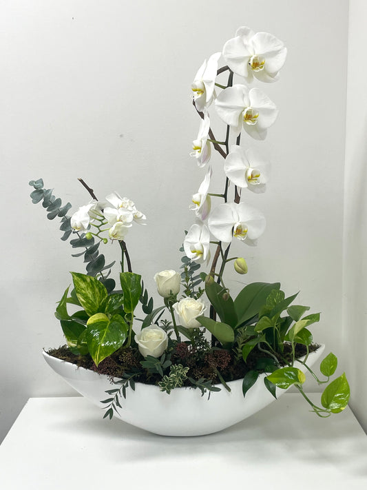 Orchid Boutique